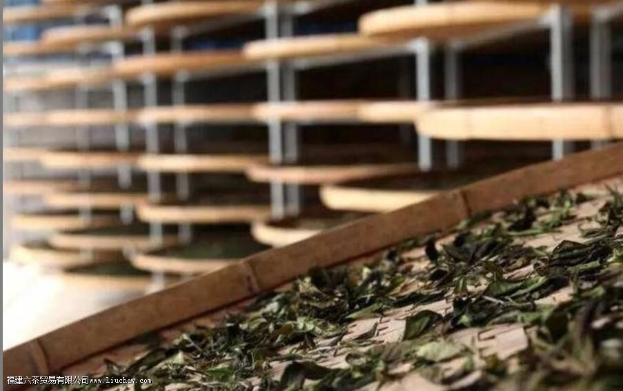 ���ϰײ�͸����ײ���ʲô����