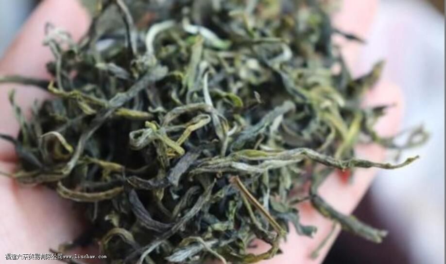 ���ϲ�Ҷ����������Щ