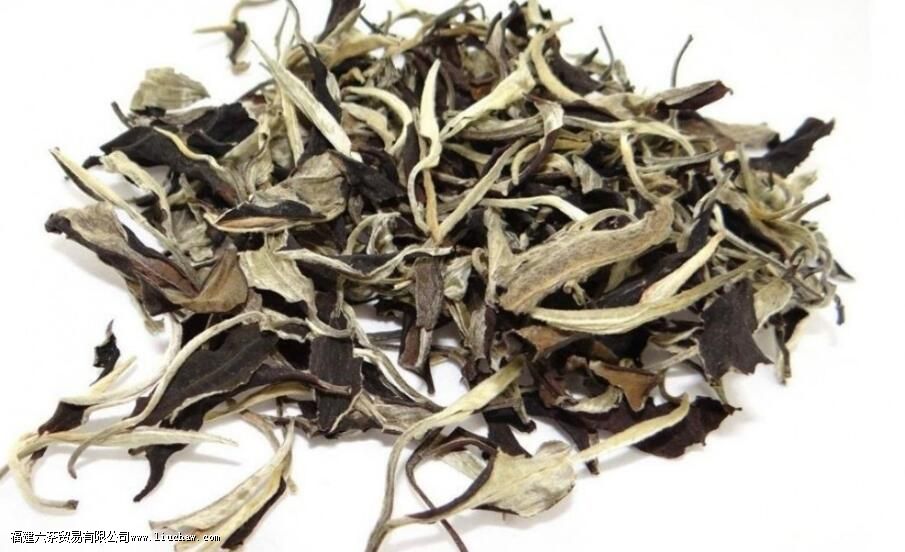 ���ϲ�Ҷ����������Щ