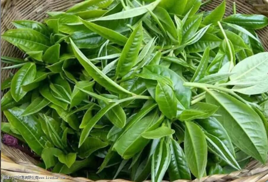 ����ɹ�����ص�