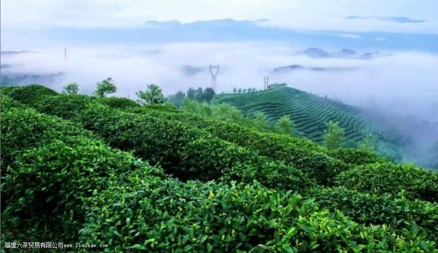 �����̲�ʲôˮ���ݱȽϺ�