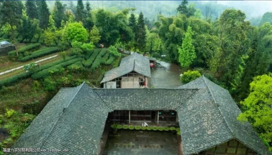 �紺��¶����ʲô��