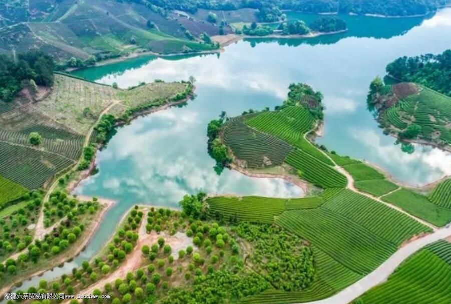 ժ��Ҷһ����ժ���ٽ�