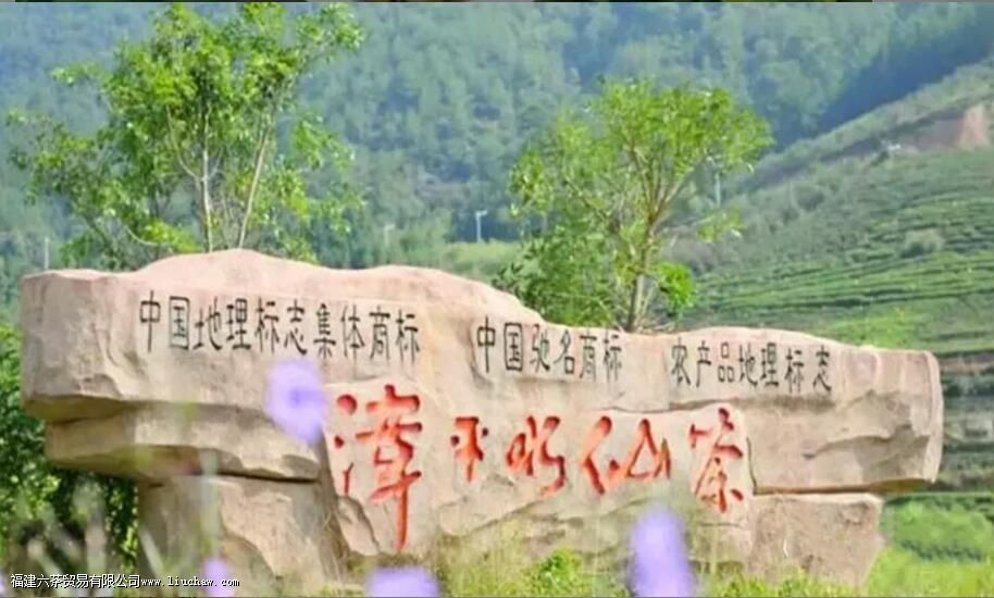 漳平水仙是全发酵的吗 漳平水仙是全发酵的吗