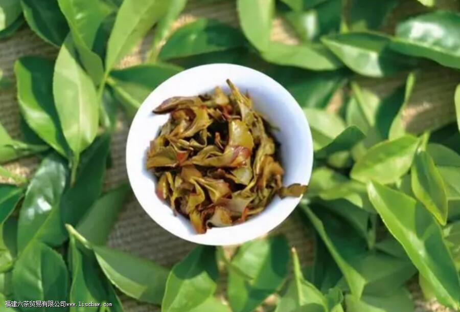 漳平水仙是全发酵的吗 漳平水仙是全发酵的吗