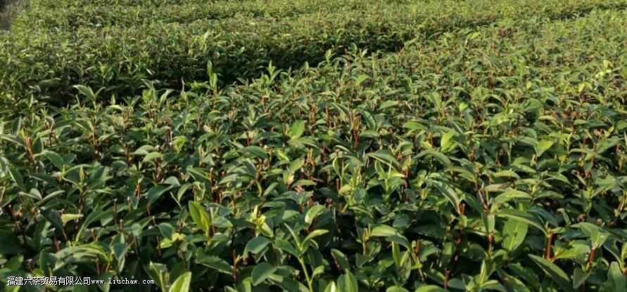 ��ũ117�Ĳ�֪ʶ