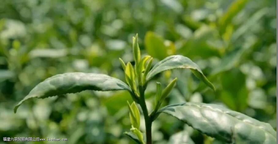 ��ũ117�Ĳ�֪ʶ