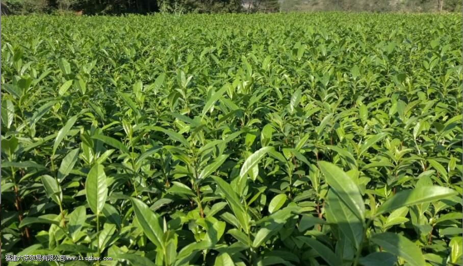 ��ũ117�Ĳ�֪ʶ