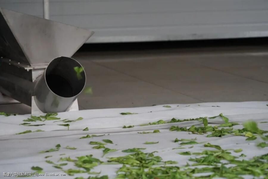 ���ࡢ���ࡢɹ�ࡢҡ�࣬�Ʋ��еĸ��֡��ࡱ�кβ�ͬ