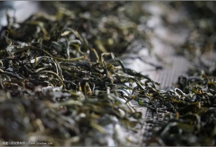 ���ࡢ���ࡢɹ�ࡢҡ�࣬�Ʋ��еĸ��֡��ࡱ�кβ�ͬ