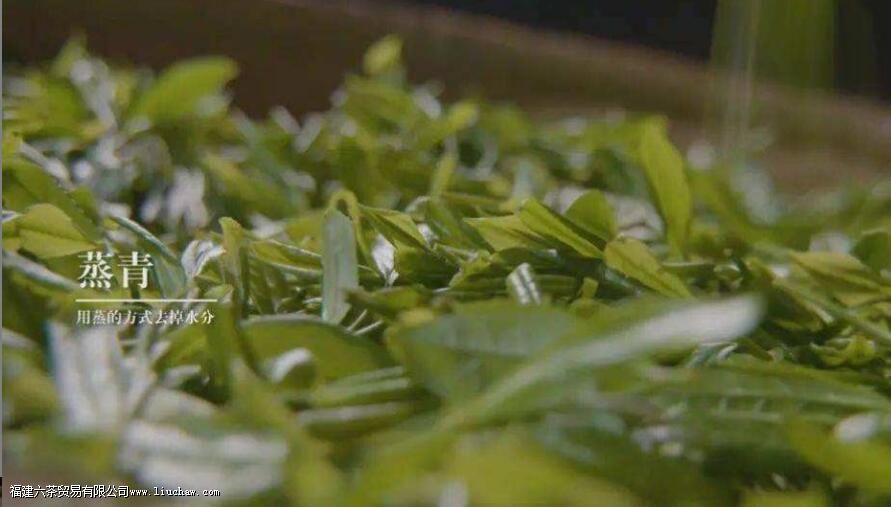 ������ʲô��