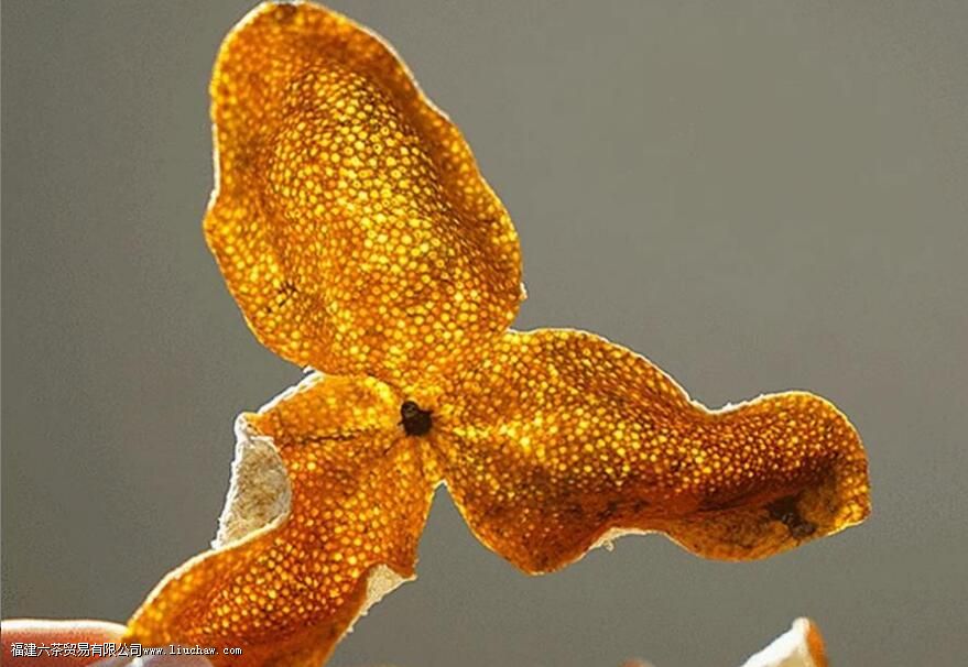 ���ڵĳ�Ƥ��������Щ