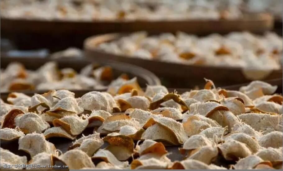 ���ڵĳ�Ƥ��������Щ