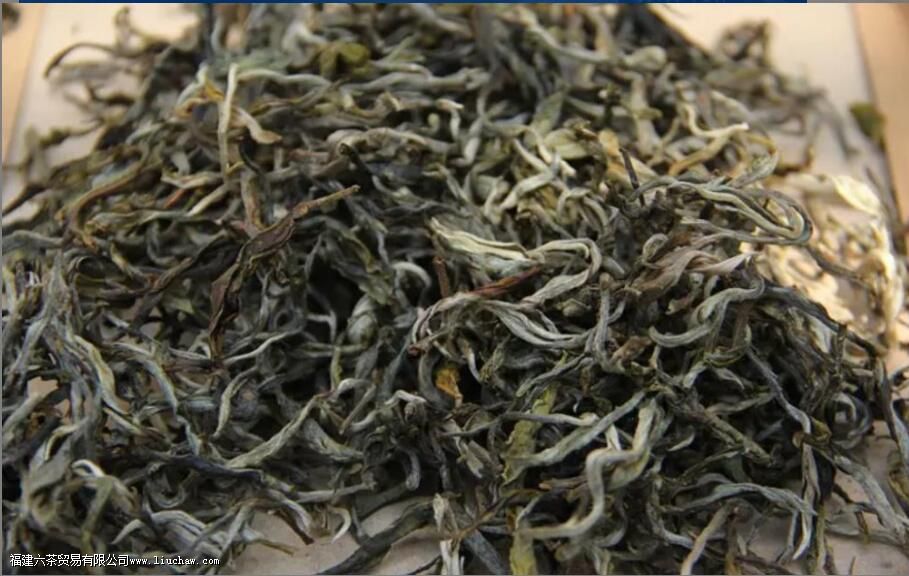 只有普洱分熟茶与生茶吗 只有普洱分熟茶与生茶吗