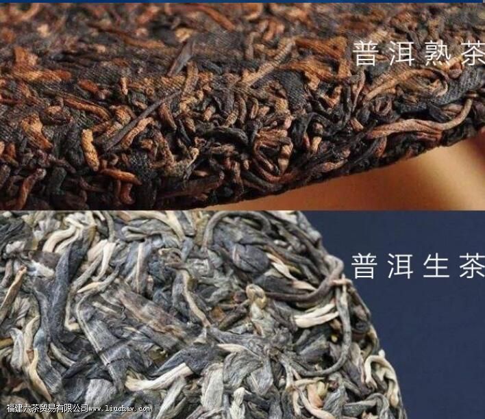 只有普洱分熟茶与生茶吗 只有普洱分熟茶与生茶吗