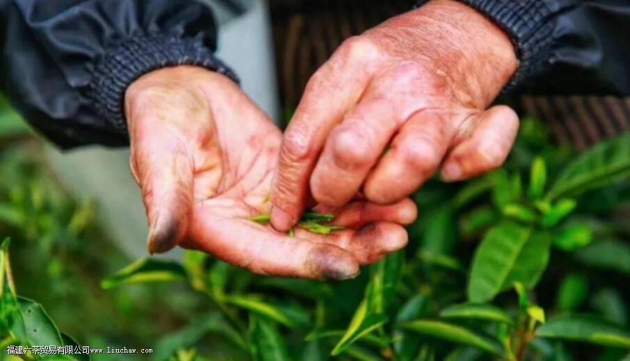 �Ʋ������˭