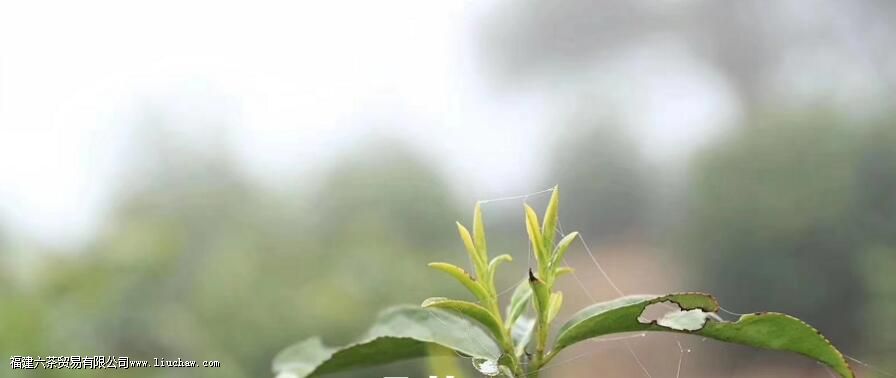 �й����������