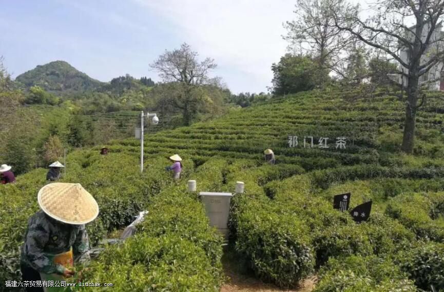 �й����������