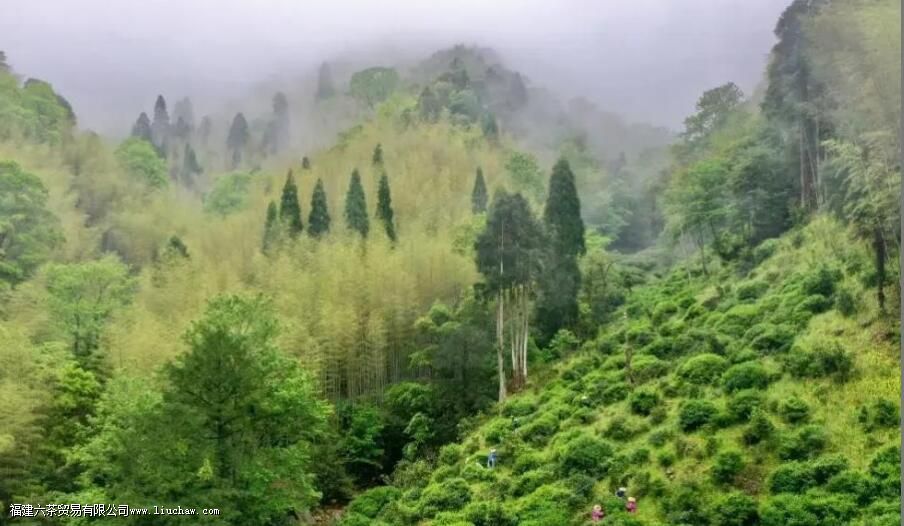 �й����������