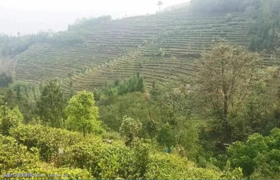 �й����������