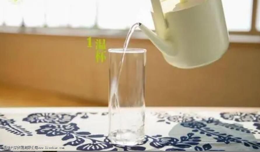 ��Ͷ����ʲô��˼