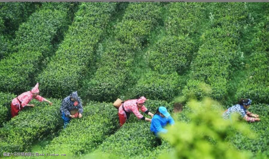 ������ʲô�ò�