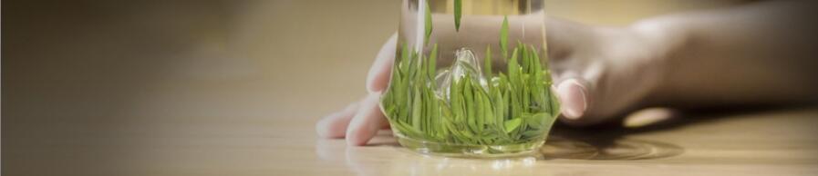 ��Ҷ����ȸ�������Щ����