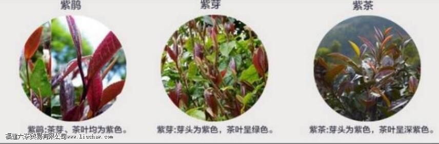 ��ѿ���Ͼꡢ�ϲ裬������ʲô����