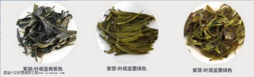 ��ѿ���Ͼꡢ�ϲ裬������ʲô����