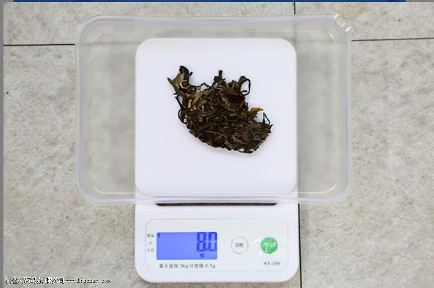 13�ֳ�����ҶͶ����������Ͷ��������㴼