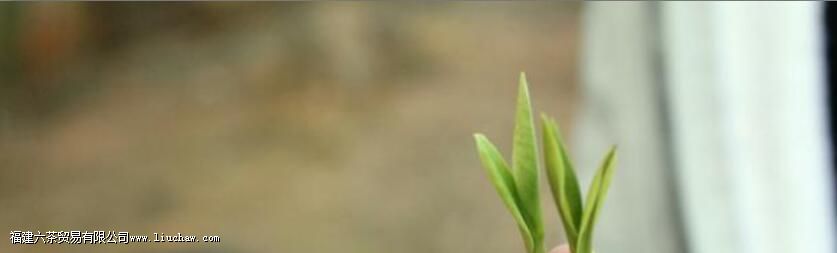 �����ײ貣�������ݶ��ٿ�