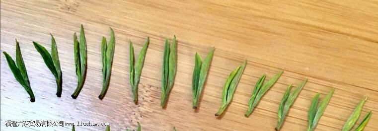 �����ײ貣�������ݶ��ٿ�