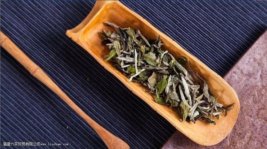 �ײ���ϴ����