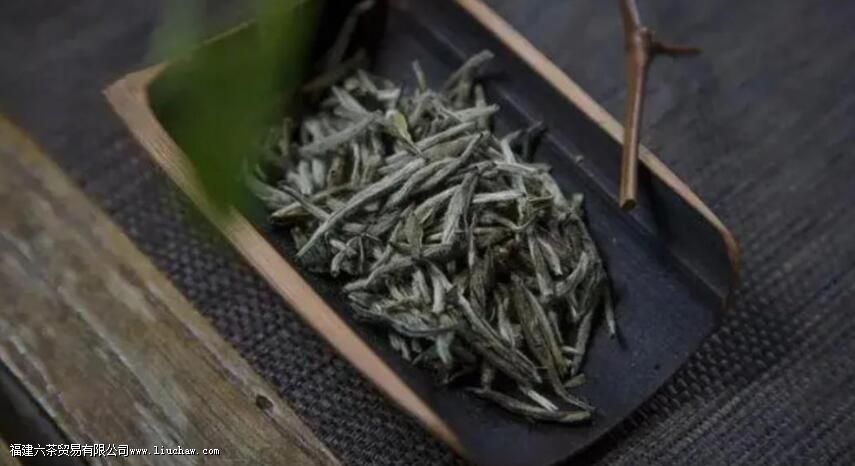 白毫银针如何冲泡 白毫银针如何冲泡