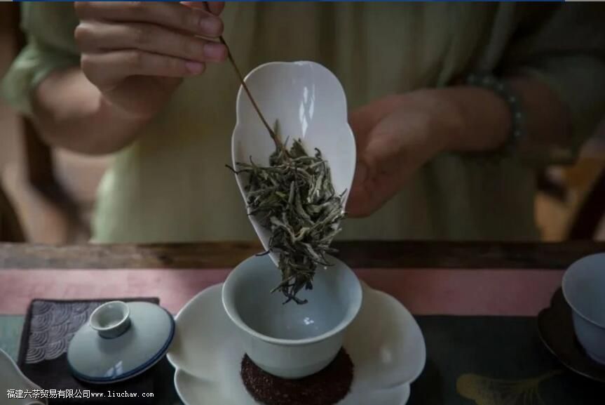 白毫银针如何冲泡 白毫银针如何冲泡