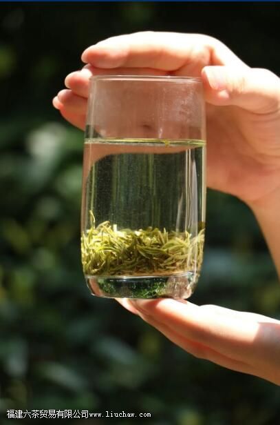 ���ݴ����ٶ�ˮ�ݲ��