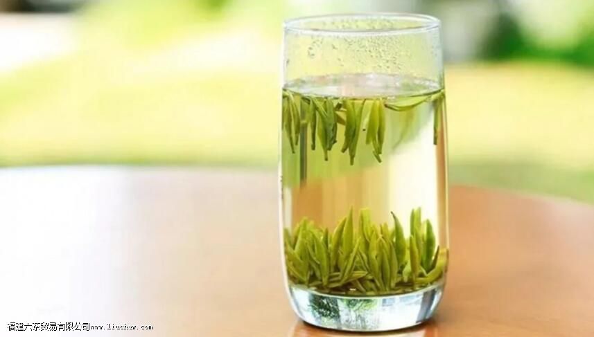 ��Ҷ����֮��Ϊʲô��������