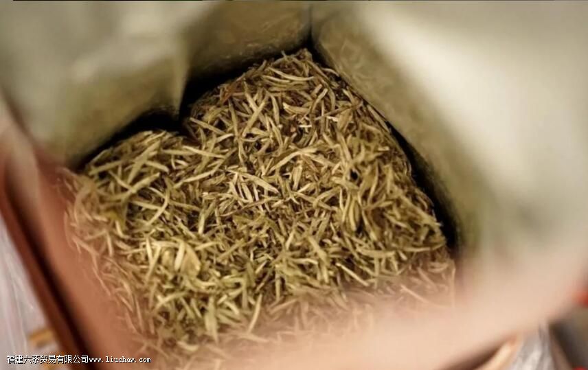 ��Ҷ����֮��Ϊʲô��������