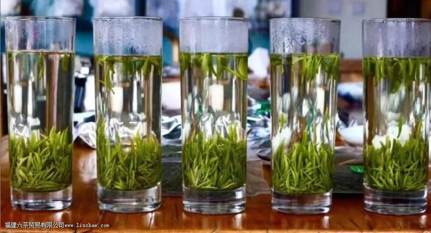 ��Ҷ����֮��Ϊʲô��������