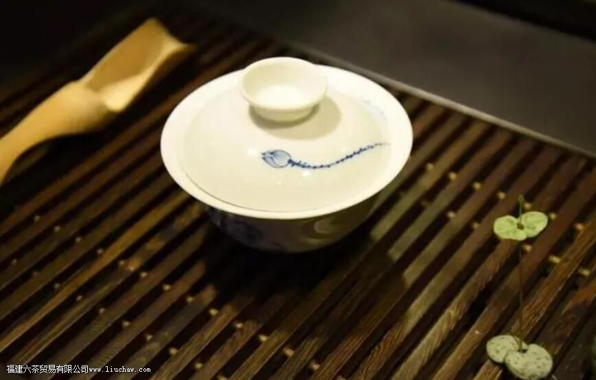 ��Ҷ����ָ����ʲô