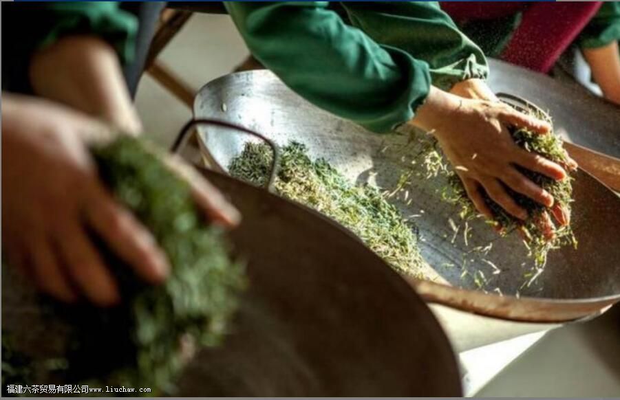 ��Ҷ�е���������Ҫ�ɷ���ʲô