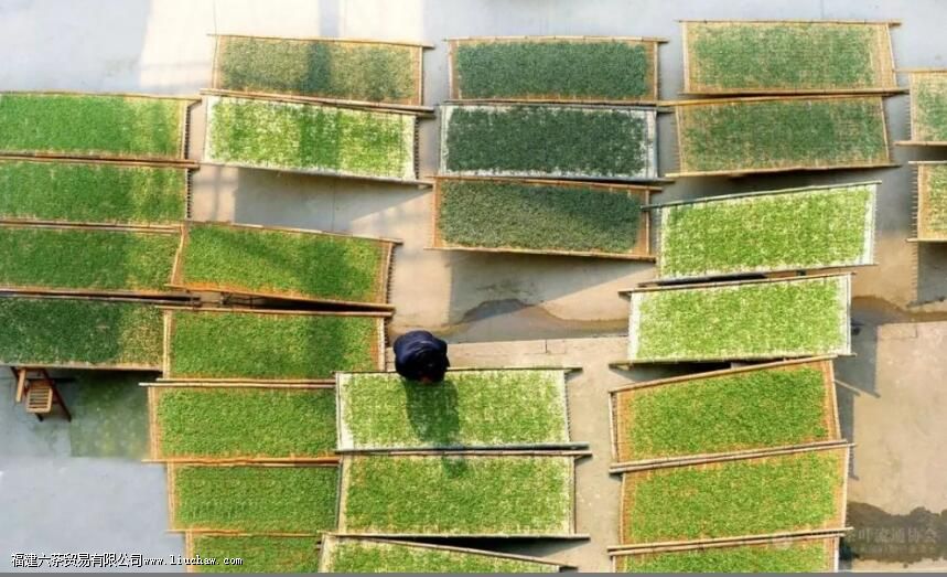 冲泡白茶,如何掌握冲泡时间与次数 冲泡白茶,如何掌握冲泡时间与次数