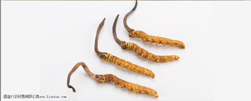 ��ݲ���ô��