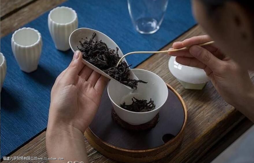 ����۶��ٶ�ˮ�ݲ��