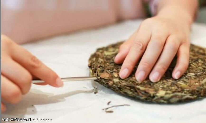 福鼎白茶怎么泡才正确方法 福鼎白茶怎么泡才正确方法