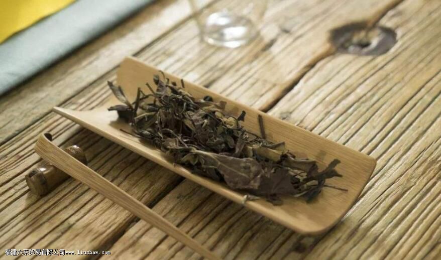 ��ü���ݺ�Ĳ�����ɫ