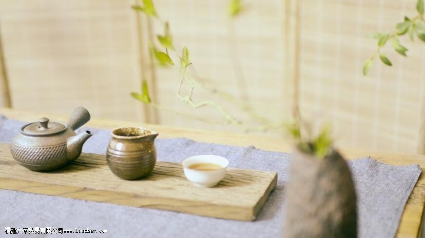 ��ü���ݺ�Ĳ�����ɫ