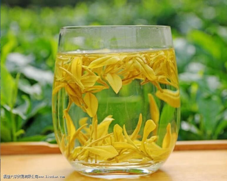 黄金芽茶的冲泡方法 黄金芽茶的冲泡方法