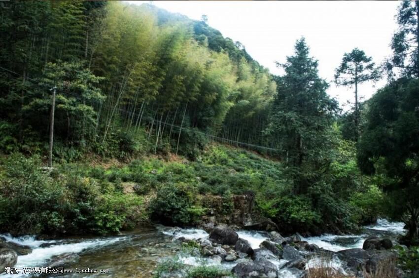 ��ü�����ݻ��ǳ���