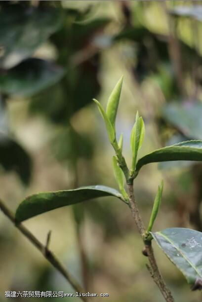 ��ü�����ݻ��ǳ���